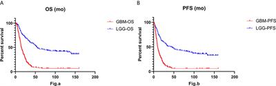 Integrated Analysis of the Clinical and Molecular Characteristics of IDH Wild-Type Gliomas in the Chinese Glioma Genome Atlas